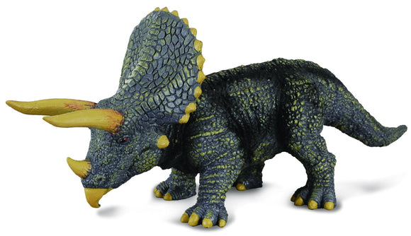 Triceratops