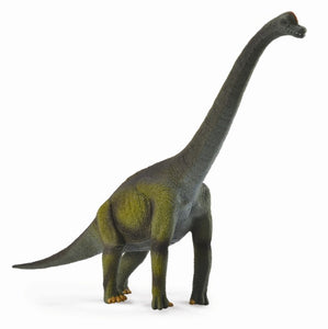 Brachiosaurus