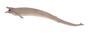 Basilosaurus