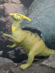 Parasaurolophus - Carnegie Collection