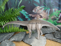 Diplodocus - NHM Collection