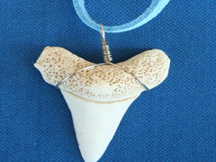 Shark Tooth Surfer Necklace - Replica Fossil