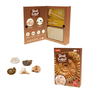 Real Fossil Excavation Kit