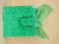 Glossy Green Gift Bag - Medium