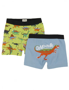 Hatley Boys Dinosaur Boxers - 2 Pack