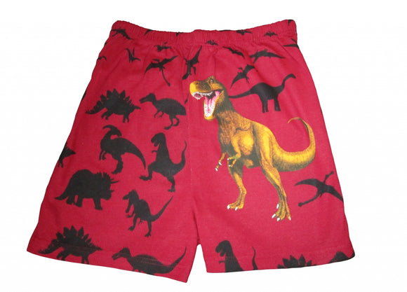 Magic Dinosaur Boxer Shorts