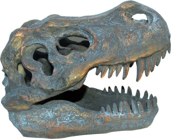 T-Rex Skull 16cm