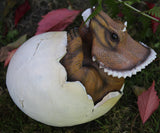 Triceratops Hatchling Egg - Garden Ornament