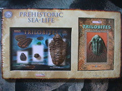 Trilobite Fossil Gift Set