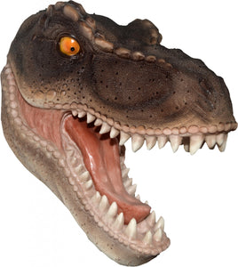 T-rex Wall Mounted Trophy Head 27cm