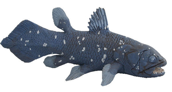 Coelacanth - Safari Collection