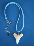 Shark Tooth Surfer Necklace - Replica Fossil