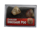 Dinosaur Dung Fossil