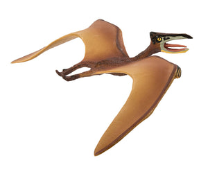 Quetzalcoatlus - Carnegie Collection