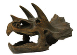 Triceratops Skull  23cm